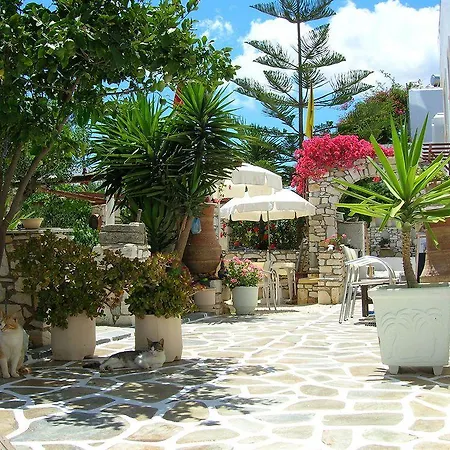 Apartamento Sunset And For Adults Over 21 Only