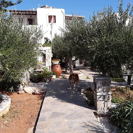 Sunset And For Adults Over 21 Only Naousa