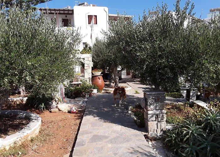 Sunset And For Adults Over 21 Only Naousa