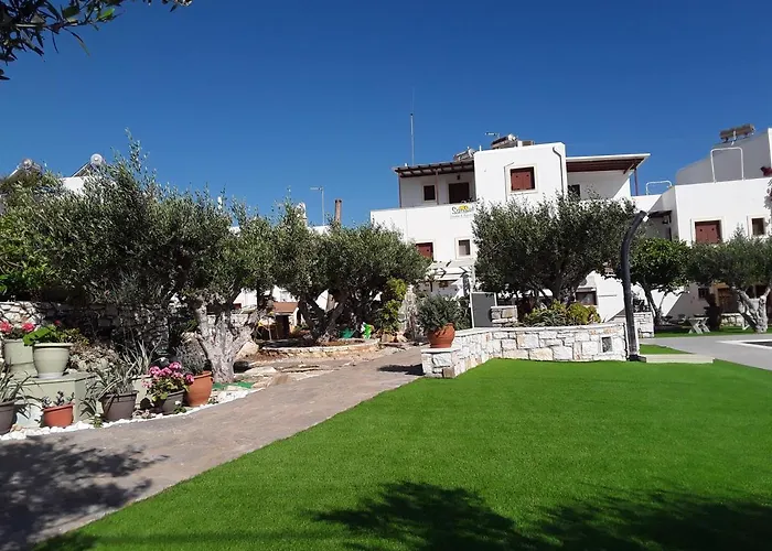 Sunset And For Adults Over 21 Only Daire