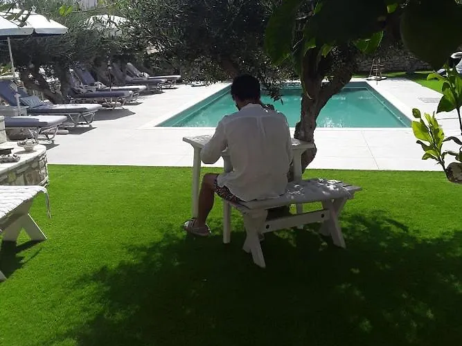 Sunset And For Adults Over 21 Only Daire *