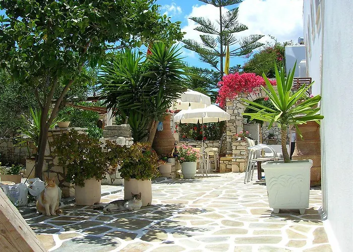 Daire Sunset And For Adults Over 21 Only