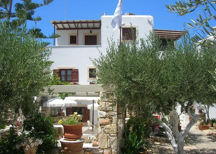 Sunset And For Adults Over 21 Only Daire *