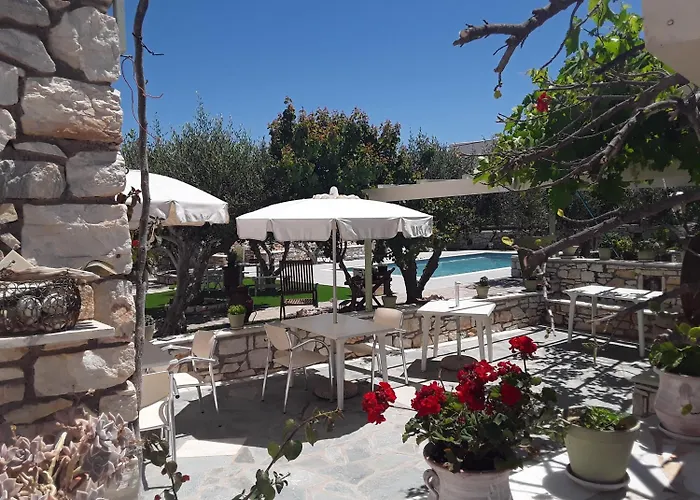 Sunset And For Adults Over 21 Only Daire