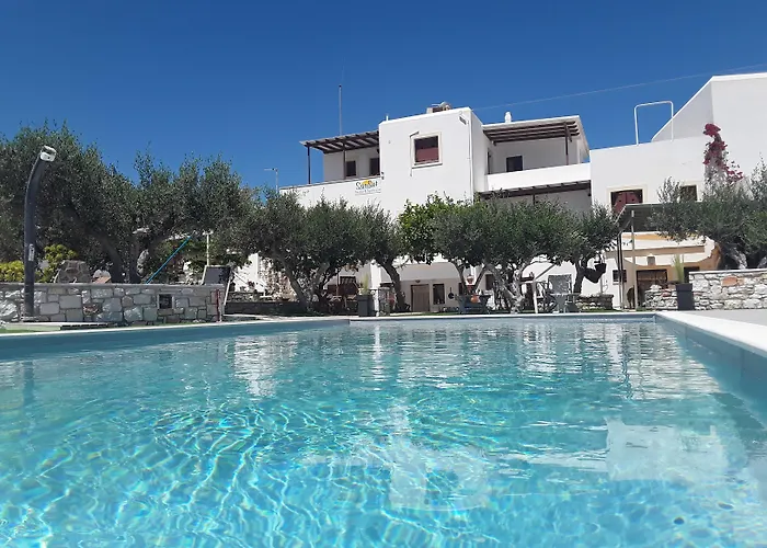 Sunset And For Adults Over 21 Only Daire *