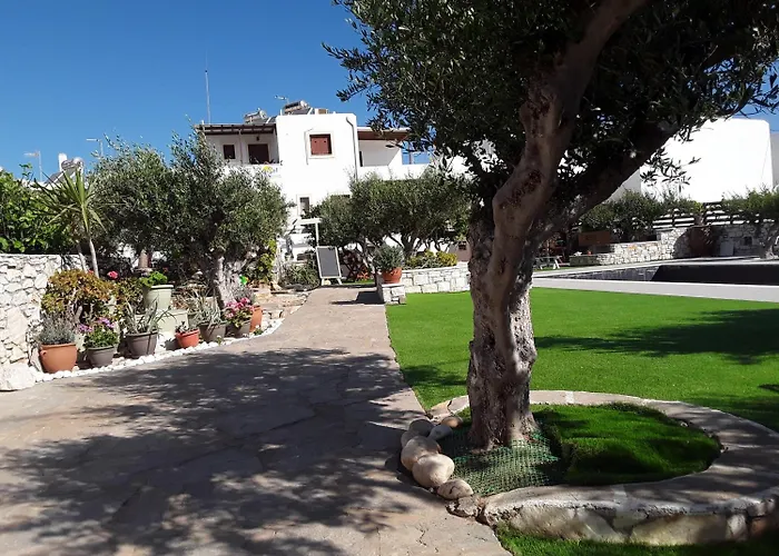 Sunset And For Adults Over 21 Only Daire