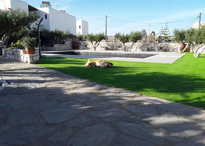 Sunset And For Adults Over 21 Only Daire